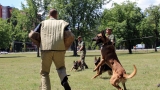 Military Dog Handler...