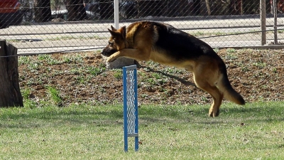 Ministar Šutanovac u poseti Nišu