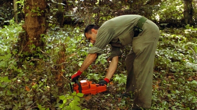 Vojska pomaže u čišćenju Srbije