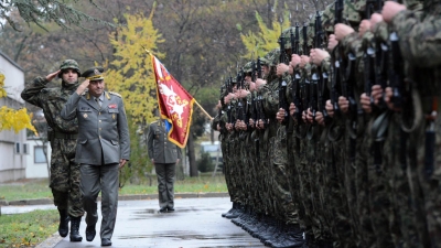 Members of SAF Escorted to EU Mission in Somalia