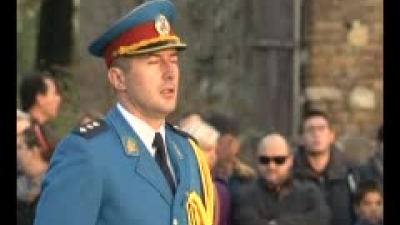 Honorary artillery salvo