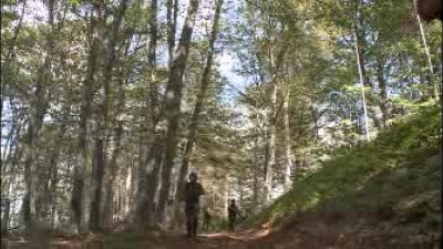 Determined to fight against smugglers