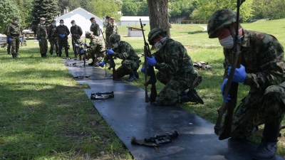 Обилазак војника на добровољном служењу војног рока