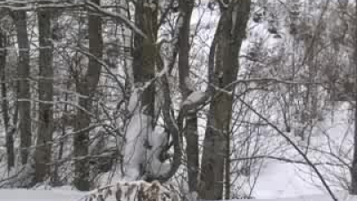 The rescue operation