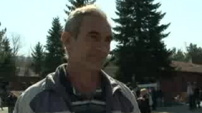 Statements by parents of Novica and Mirjana Cvetković