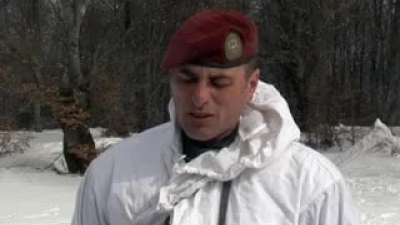 Изјава десетара Живковића