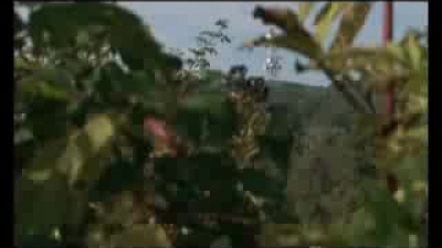 Neutralizing terrorist group – Fruška gora, 07.10.2013.