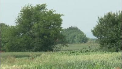 The Guard on mobile camping