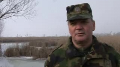 Statement by Colonel Zoran Papić