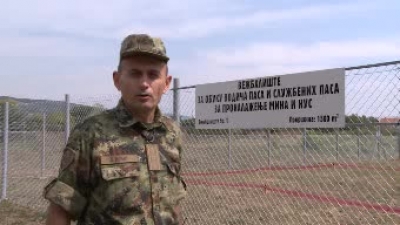 Open practice site for training guide dogs and dogs for finding mines and unexploded ordnance