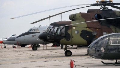 The celebration of the Aviation Day